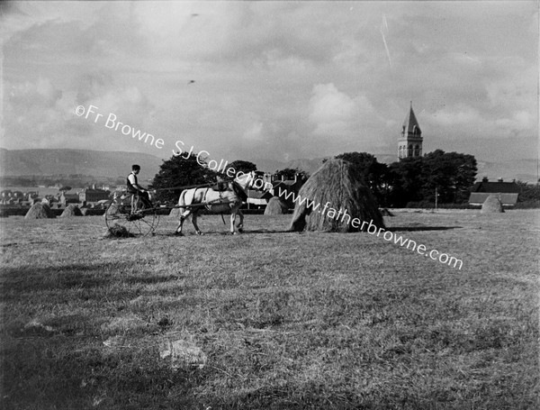 HAYMAKING NEAR CATHEDRAL